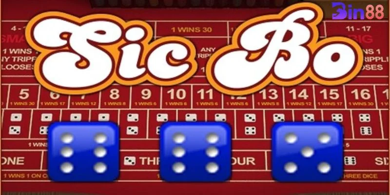 Mẹo Chơi Sicbo Ăn Đậm Trên Bàn Cược Casino BIN88 Uy Tín